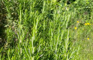 Modernes Haus mit Garten in Windberg, ruhig & zentral - Foto 22