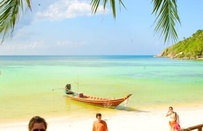 Salad Villa - Foto 40