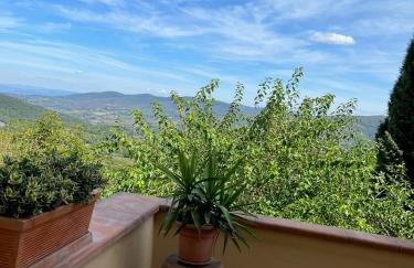 Terrazza a Campana - Foto 23