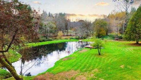 4-Bedroom Chateau in Southern Washington- Luxurious Retreat with Pond & Creek - Foto 5