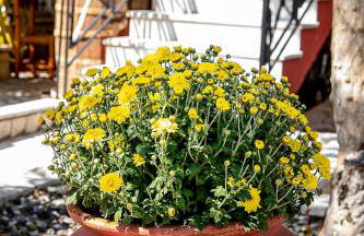 Ioanna's Mansion - By the lake - Foto 54