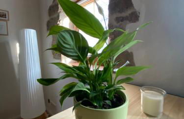 Modernes Apartment in historischem Gebäude - Foto 7