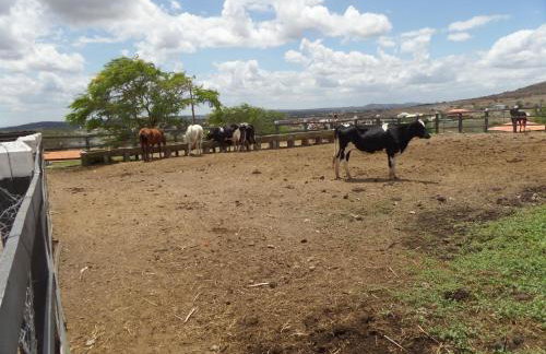 Flat Fazenda Cond Monte Castelo-Ao lado da Piscina - Foto 29