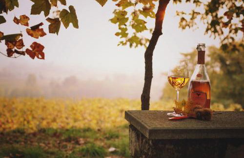 Villa Gradoni - Foto 19