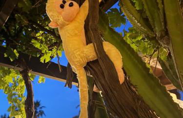 Hacienda De La Siesta - Photo 43