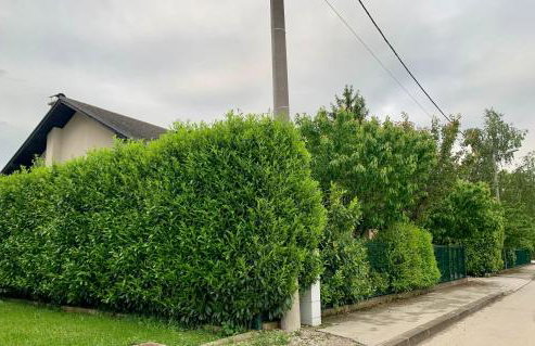 NOAR Enjoy Your Stay - Foto 41