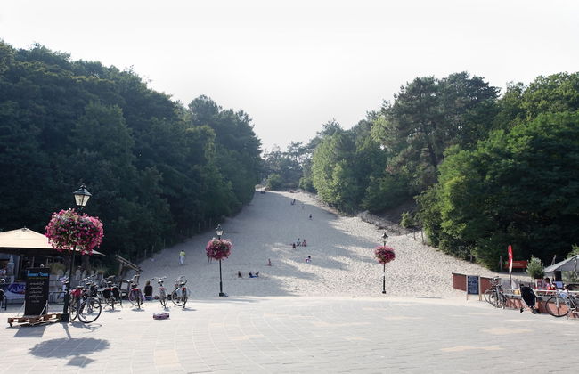 Europarcs Koningshof - Foto 75