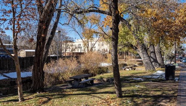 Turquoise Butterfly - Foto 5