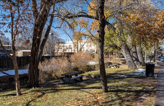 Turquoise Butterfly - Foto 5