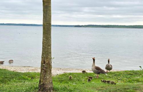 Villa Lago am Plauer See - Foto 23