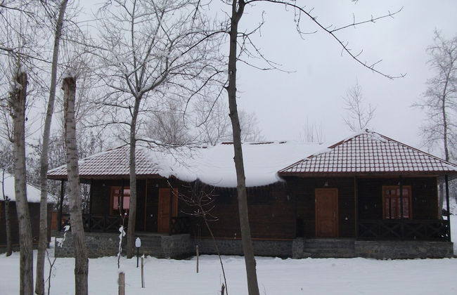 Kish Adasi - Kish Island - Foto 27