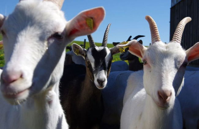 Characteristic Apartment in Bernbeuren - Foto 11