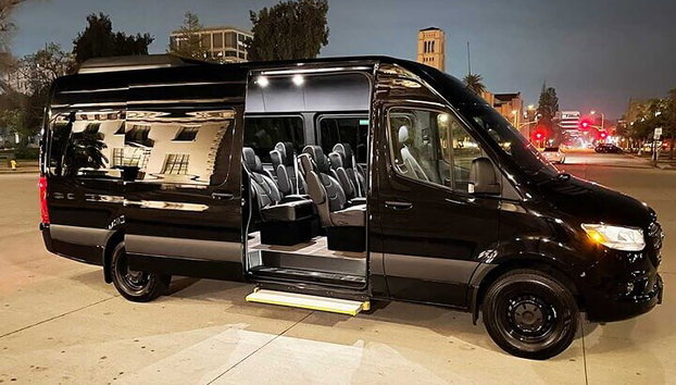 Privater Minibus Ankunft vom Flughafen Guarulhos GRU nach São Paulo - Foto 3