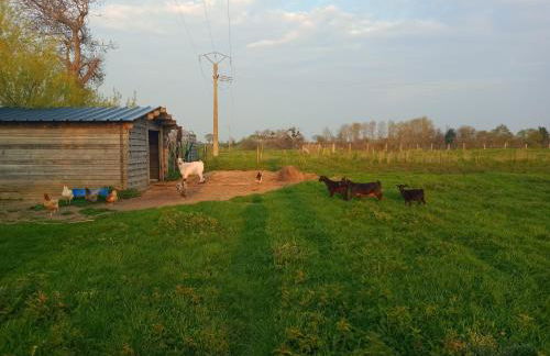La Ferme d' Emerentine - Foto 65