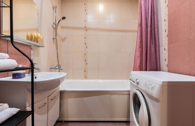 One Bedroom Great View Apartment near Gazprom Arena, UEFA 2022 - Foto 21