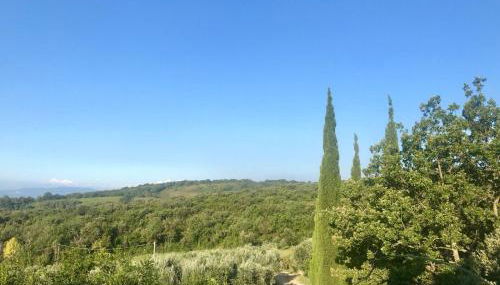 Agriturismo Campo al Crognolo - Foto 2