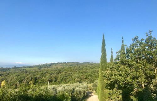 Agriturismo Campo al Crognolo - Foto 2