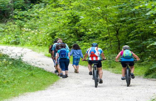 Franzenhof Markhart - Photo 35