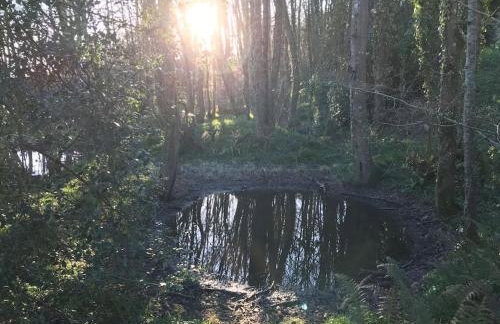 Luggs Barn - Beautiful Devon Hideaway - Photo 19