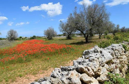 Charming House Muro Leccese + Terrace - Foto 38