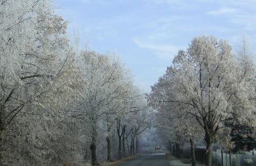 Ferienwohnung in der "Perle der Lausitz" - Foto 19