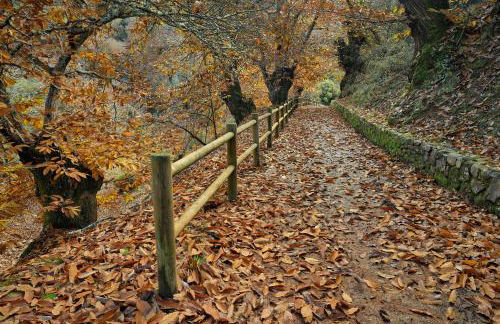 Lares · Cabañas Rurales - Foto 47