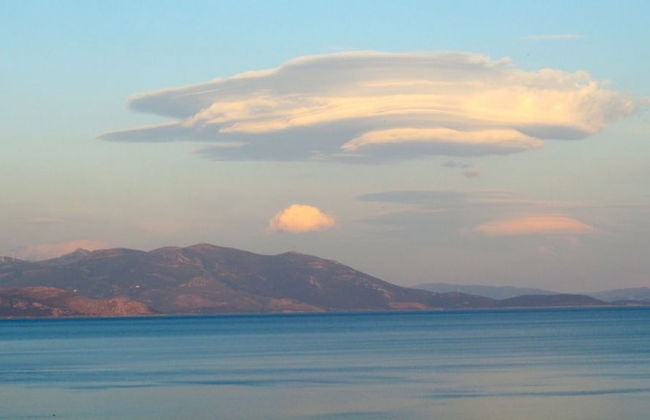 Amalia Residences - Photo 35