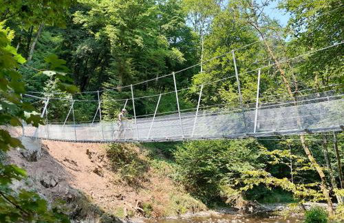 Ferienwohnung "Alte Pleiner Mühle" - Foto 16