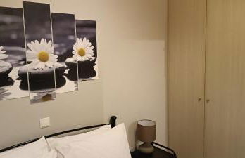 Andros Guesthouses - Foto 24