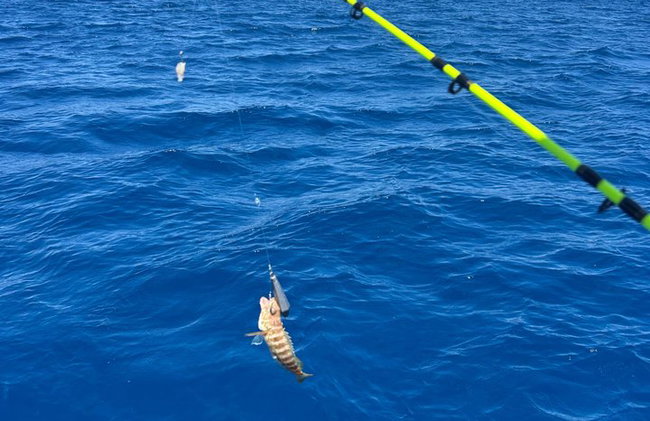 Battuta di pesca a Rodi con barbecue e nuoto - Foto 21