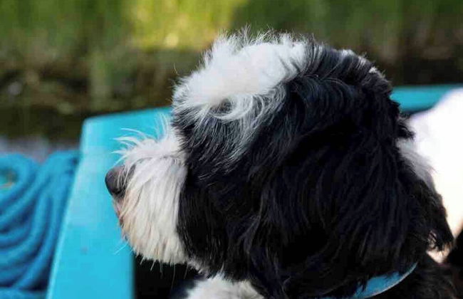 5 Star Stunning Houseboat, no Experience Required! Enjoy the Most Romantic Trip! - Foto 5