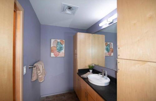 Luxury Condo in Downtown Champaign - Foto 18