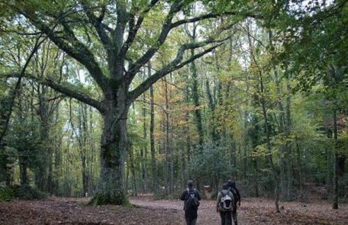 Levante - Meridiana case al mare - Foto 34
