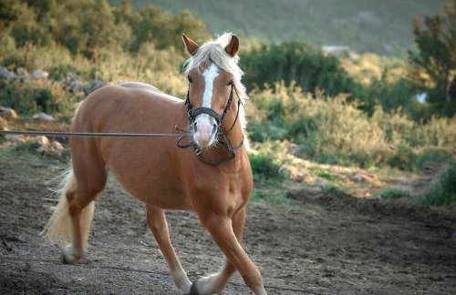 The Farmhouse - Photo 42