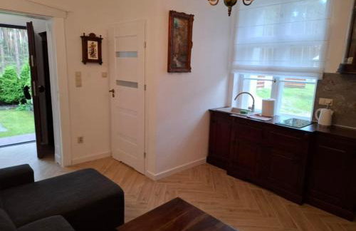 Apartament z ogrodem w Sercu Puszczy Noteckiej - Kraina 100 Jezior!!! - Foto 10