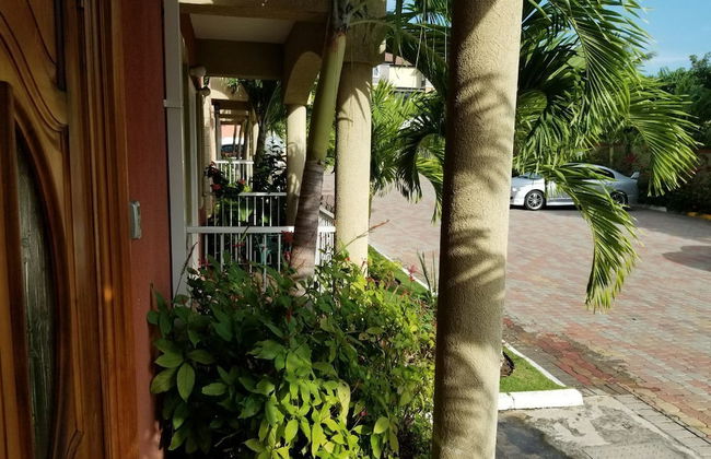 Palms of Liguanea - Foto 24