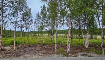 Cozy Apartment Between the Rivers - Foto 2