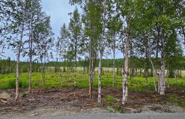 Cozy Apartment Between the Rivers - Foto 2