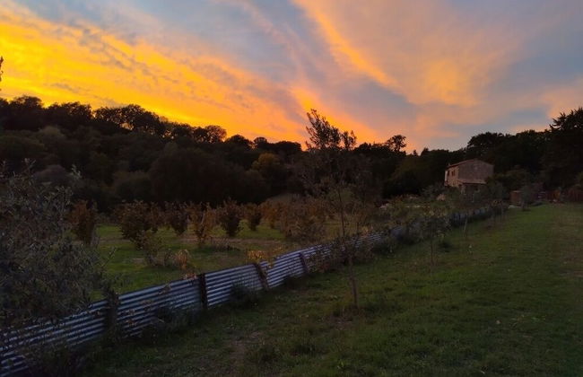 La Nocciolaia - Foto 31