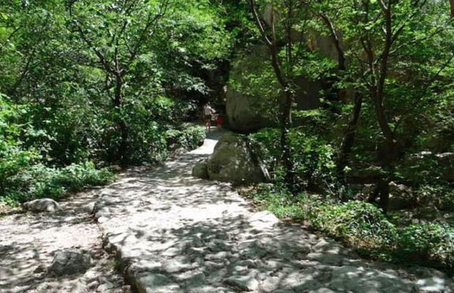 Your Perfect Adriatic Getaway - Photo 9