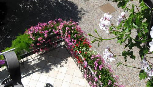 Agriturismo Odorizzi - Foto 2