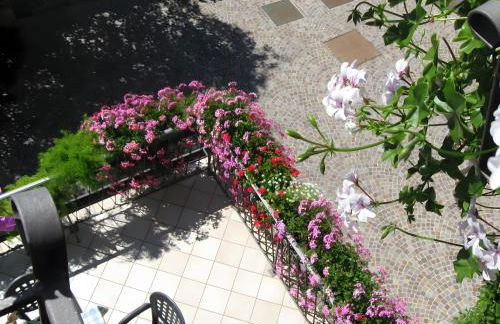 Agriturismo Odorizzi - Photo 2