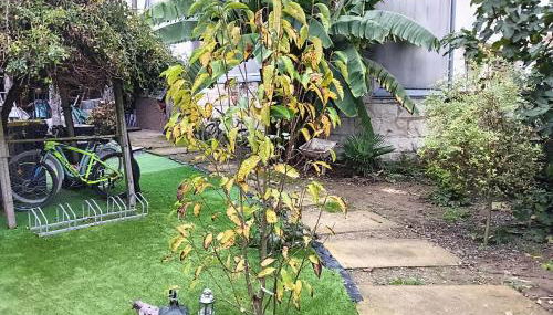 Deux petites maisons séparées-ville - Foto 2