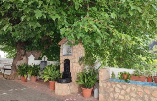 Mi casica de Bogarra - Foto 27