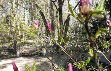 Holzhaus am See - Foto 37