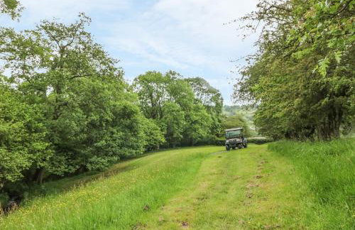 Dingle Den - Photo 12