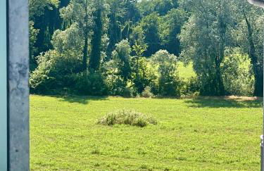 Polly house - Foto 33