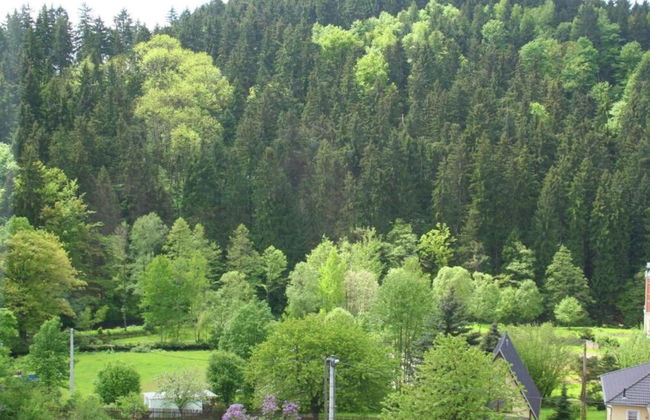 Villa in Borstendorf Nahe Erzgebirge - Photo 27