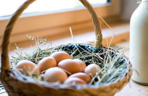 Innertrein - Photo 10