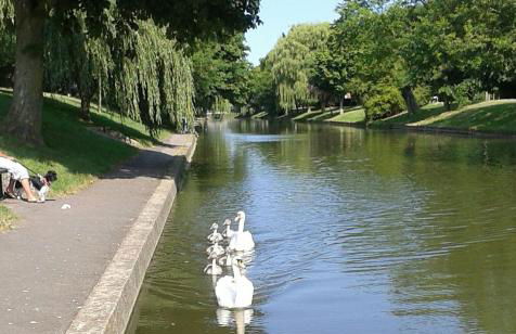 Minty Cottage - Foto 18